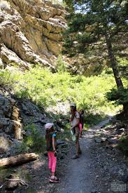 In addition to the eponymous dunes, the park now includes attractive high country in the sangre de cristo range of the rocky mountains. The 8 Best Things To Do In Great Sand Dunes National Park Colorado Discover All Corners
