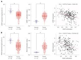 Identification Of Differentially Expressed Genes Regulated