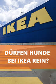 Durfen Hunde Bei Ikea Rein Oder Mussen Wir Draussen Bleiben Hunde Ikea Ikea Einkaufen