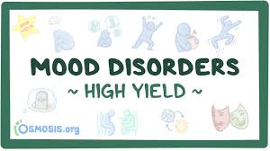Image result for Mood Disorder