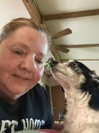 Loss of beloved pet Chihuahua Oreo at 11 years old