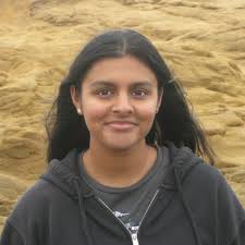 What in the Galaxy is Scattering Cosmic Rays?