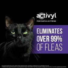 Activyl For Cats Kittens