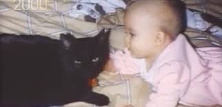 Cat Keeps Making Screeching Noises Over Baby Monitor Mom Rushes In And Finds Her Baby Is Struggling To Breathe