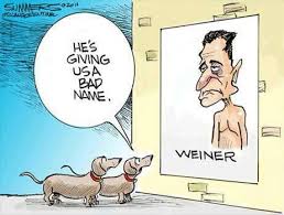 I Dont Care Who You Are Thats Funny Okay Maybe Not To Weiner Funny Dachshund Dachshund Cartoon Dog Jokes