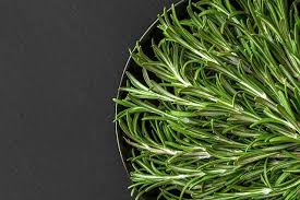 contact support herbs dill