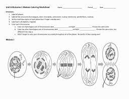 This pdf book provide biological classification answer key pogil guide. Meiosis Coloring Worksheet Meiosis Worksheets Color Worksheets