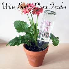We did not find results for: Pin By Laura Isom On Nifty Plants Gardening Plants In Bottles Wine Bottle Diy Wine Bottle