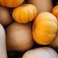 Fall Fest at Fitchburg Farmers Market