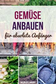 Gemusegarten Fur Anfanger Crashkurs In 11 Schritten Wurzelwerk Garten Anlegen Nutzgarten Anlegen Pflanzen