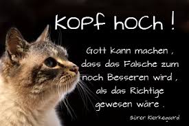 Kopf Hoch Leben Mit Krebs St Johannes Bo Wattenscheid Leithe