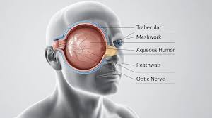 Image result for Intraocular Pressure