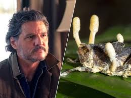 Terug na negen onverwachte maanden in de ruimte: '5 centimeter langer en  pijn aan de onderrug'