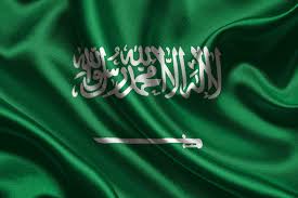 Image result for saudi arabia flag