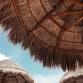 Lei-zy Day Soirée: Lazy Luau Weekend — The Lazy H