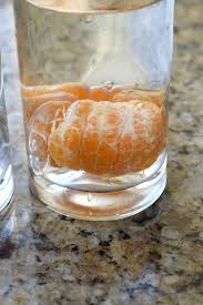 science experiment: sink or float with