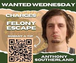 THE DEVASTATION OF ADDICTION. Authorities in Sumner County, TN posted this  cautionary tale and wanted poster: —- Anthony Wayne Southerland wasted the  golden “get out of jail free card” he was offered.