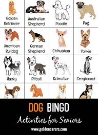 Dog Bingo Bingo Dog Themed Grey Hound Dog