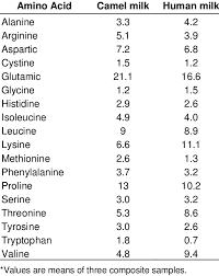 Camel milk is currently trending as a healthier alternative to cow milk. Amino Acid Composition Of Camel And Human Milks G 100g Download Table