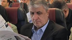 اتریش: یک کمیته شورای امنیت مسئول ممانعت از ورود «محمد اسلامی» است / سفیر آمریکا در سازمان ملل: درخواست...