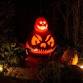 Central Waters Brewing Company Halloween... event in Amherst, WI
