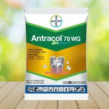 Antracol 70WG