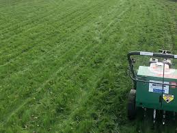 Learn more about all the lawn care services we provide in huntley, il including lawn mowing, fertilization and if you are in need of lawn care, landscaping, and pest control services in huntley, il you can trust the pro's at green acres. Lawn Care Services In Aurora Illinois Professional Lawn Maintenance