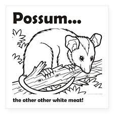 Possum The Other Other White Meat Sticker Square Possum The Other Other White Meat Square Sticker By Printsnat Cafepress In 2021 Animal Coloring Pages Coloring Pages Coloring Books