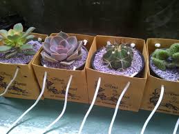 Maybe you would like to learn more about one of these? Green Souvenir Produk Souvenir Pernikahan Pernikahan Suvenir Pernikahan