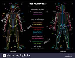 meridian system chart of tcm traditional chinese medicine