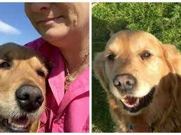 Son mari lui crie de venir voir le chien, elle n'en revient pas de ce  qu'elle trouve entre ses pattes