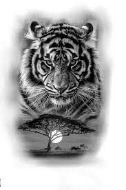 Tigr Eskiz Tiger Tattoo Design Cat Tattoo Designs Tiger Tattoo