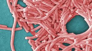 News source: News.com.au