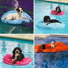 Home Channel Tv Pet Ideas For The Home Dog Pool Floats Dog Milk Pets