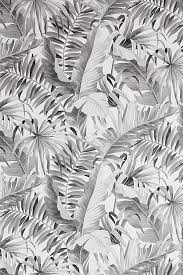 Al Fresco Wallpaper Palm Wallpaper Wallpaper Unique Wallpaper