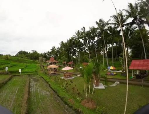 Desa Wisata Tajen
