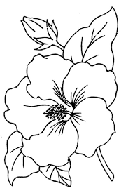 Flower Fosterginger Pinterest Commore Pins Like This One At Fosterginger Pinterest No Pin Limi Simple Flower Drawing Hibiscus Flower Drawing Flower Drawing