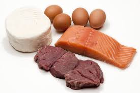 Kekurangan protein hewani adalah biasanya mengandung kolesterol yang cukup tinggi walaupun ada juga makanan yang termasuk protein hewani memiliki sedikit kandungan kolesterol. Selain Daging Kenali Juga 6 Makanan Berprotein Tinggi Halaman All Kompas Com
