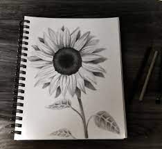 Pin On My Art