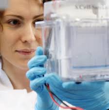 UCD GRADUATE STUDIES