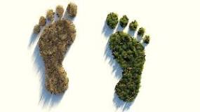 Cómo reducir la huella ecológica? - Fundación Aquae