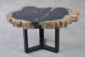 Price ($) any price under $100 $100 to $500 $500 to $1,000. Coffee Table Petrified Wood 35211 The Art Of Nature Xyleia Natural Interiors