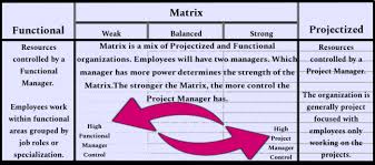 Overview Of Project Organizational Structures Agile Mercurial Organizational Structure Types Of Organisation Organizational