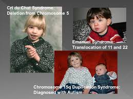 To determine the prevalence of the disorder, we sent surveillance questionnaires to 735 core hospitals in japan. Homework 11 4 Worksheets Daughter Cells Are Clones Of Each Other And Of The Original Parent Ppt Download
