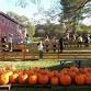 Preschool Fall Fun at Chip-In Farm event image