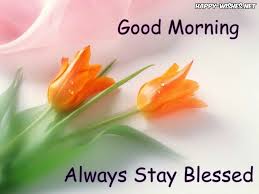 We did not find results for: Good Morning Wishes With Flowers Images Good Morning Wishes Morning Wish Wishes Images