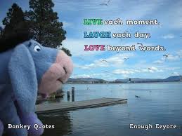 Before reading eeyore quotes it is very important to know about this interesting character. Eeyore Quotes Facebook