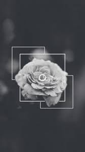 See more ideas about bts, bts laptop wallpaper, bts bangtan boy. Aesthetic Black Rose Wallpaper Desktop Novocom Top