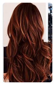 Highlights are the perfect way to jazz up any hairstyle and hair color, for that matter. 81 Red Hair With Highlights Ideas That You Will Love Style Easily