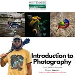 Introduction to Photography: Wildlife Edition